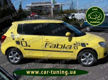  Skoda Fabia II 2007