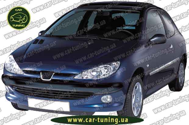   () IN-PRO Peugeot 206