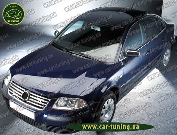    IN-PRO VW Passat B5 FL